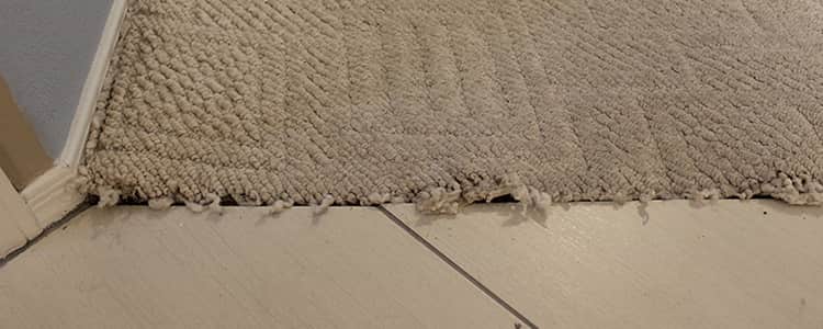 Best Carpet Repair Bassendean